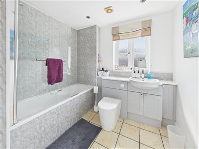 Picture 21